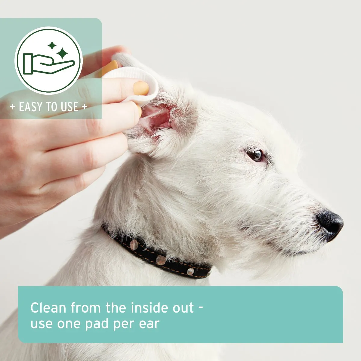 AniForte Ear Cleaning Pads - 100 Pieces