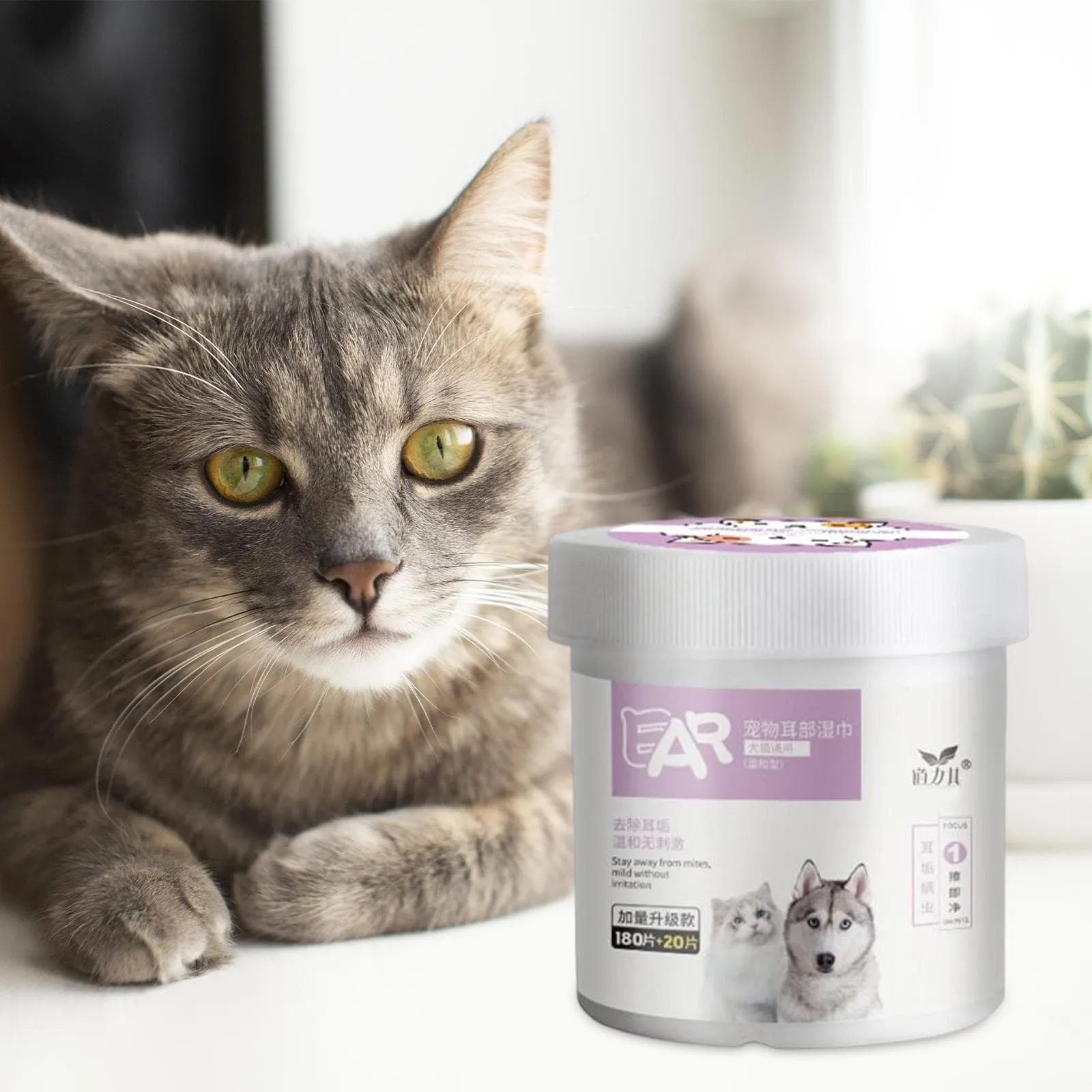 ANIMAL  Wet Wipes Eye Tear Ear Stain Remover  Portable Wet Towels Dog Cat Cleaning Wipes Grooming Wipes Towel
