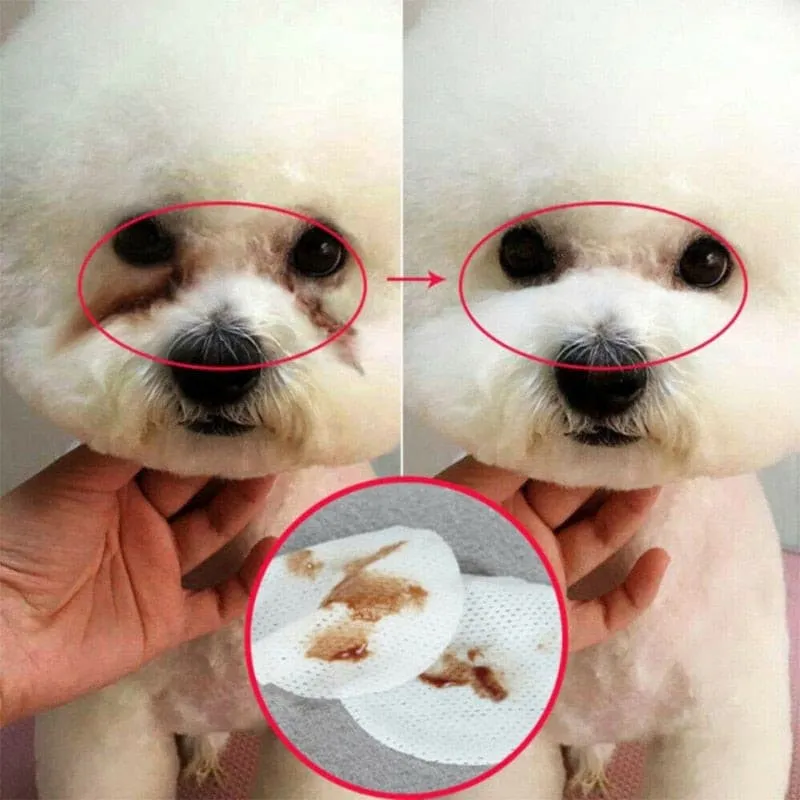 ANIMAL  Wet Wipes Eye Tear Ear Stain Remover  Portable Wet Towels Dog Cat Cleaning Wipes Grooming Wipes Towel
