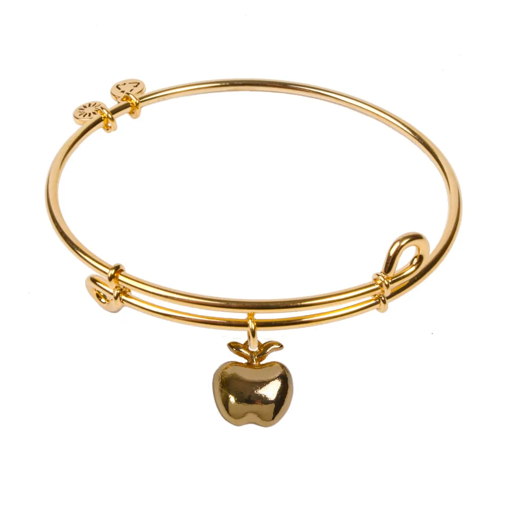 Apple, Bangle 18K Gold Plated