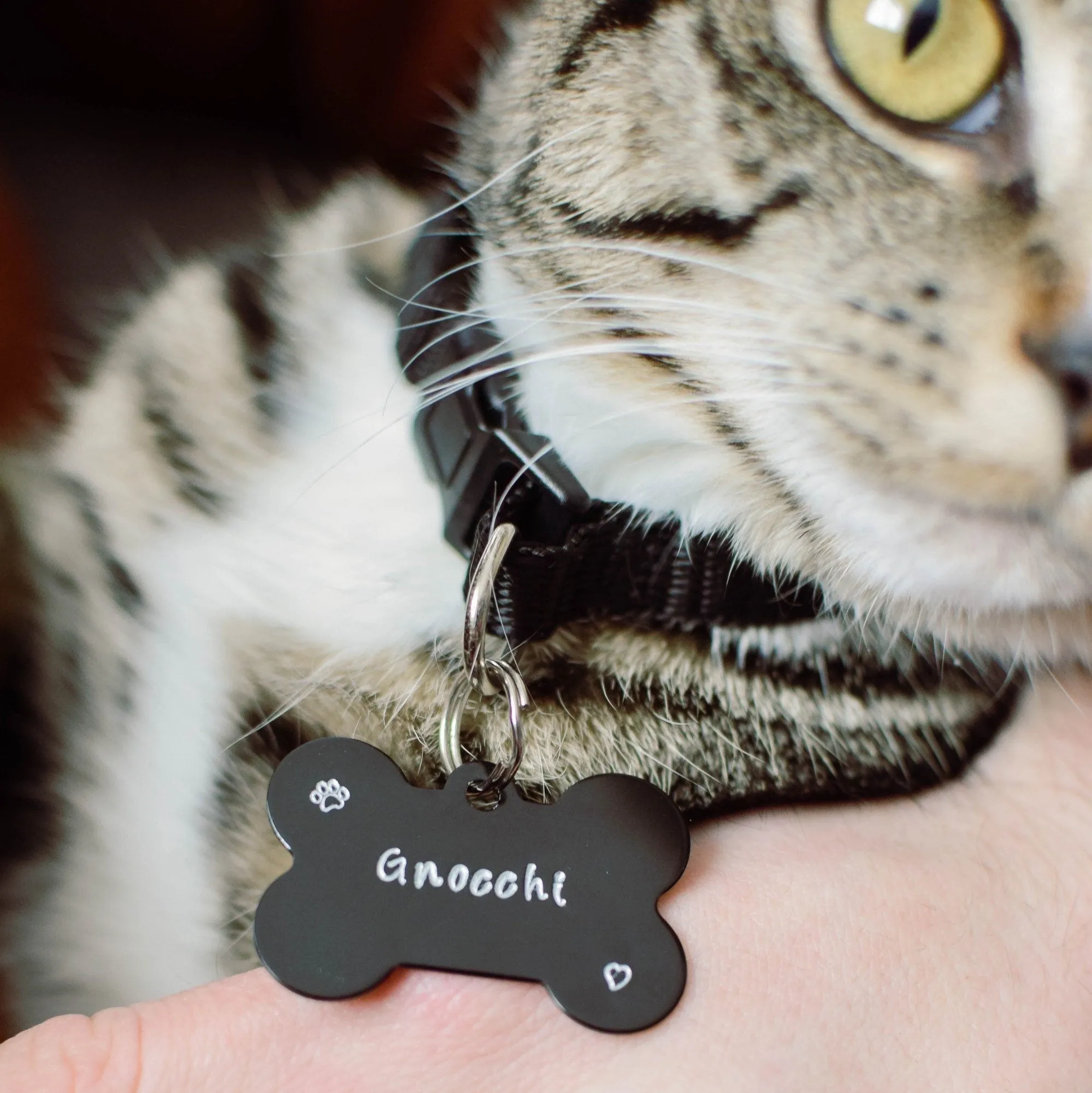 BLACK PET ID TAG