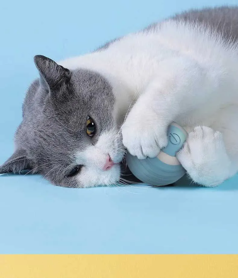 Cat Interactive Ball Smart