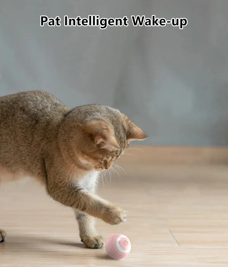 Cat Interactive Ball Smart