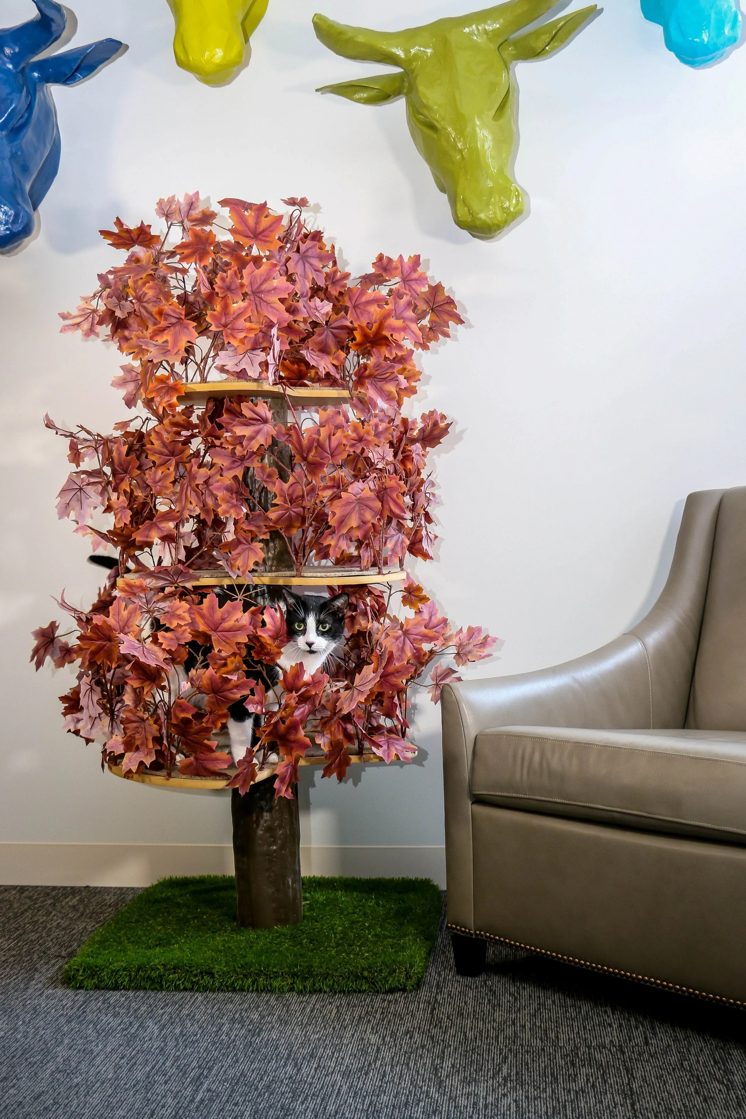 Classic CatHaven™ - Large Three Tier, 5' - Several Colors!