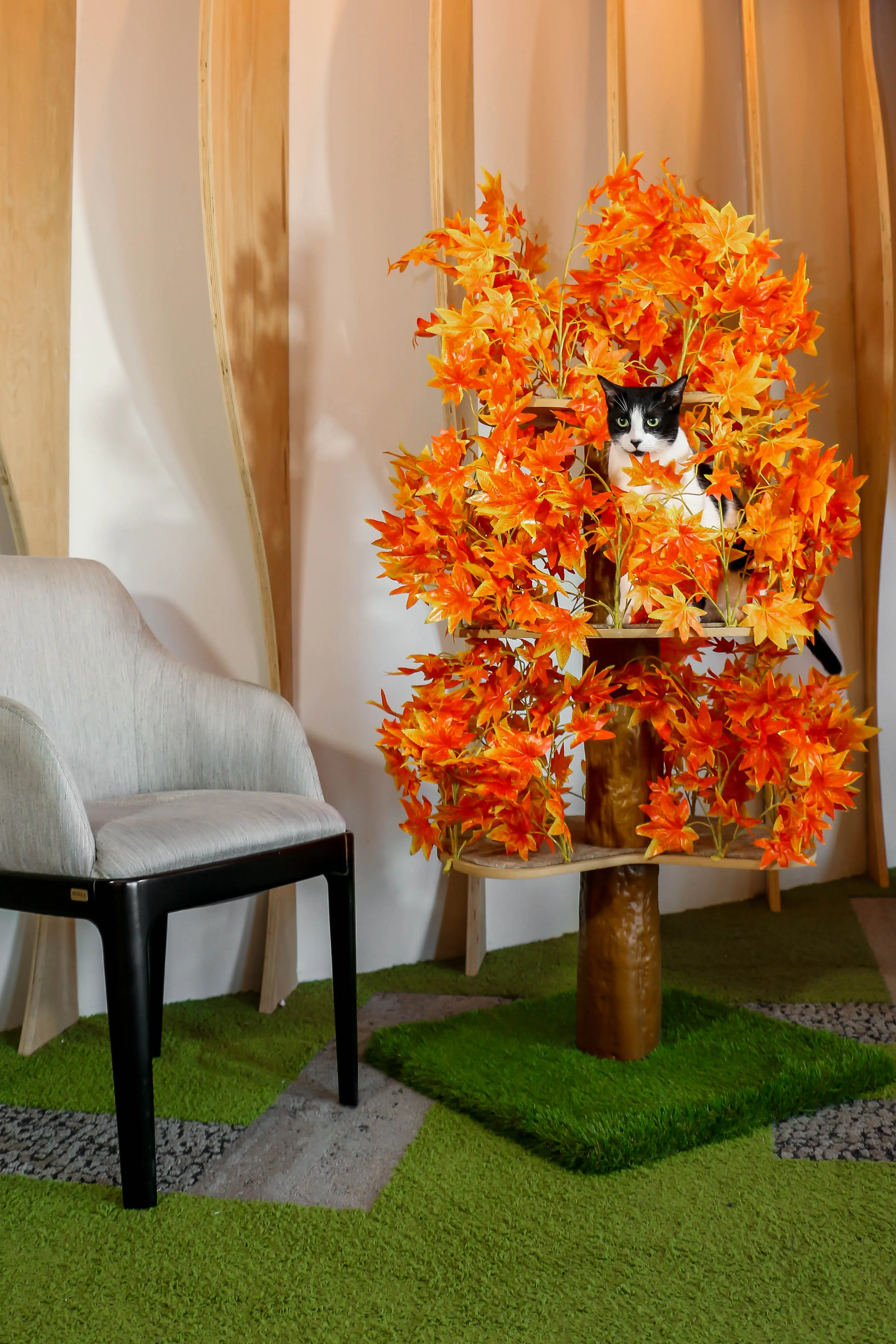 Classic CatHaven™ - Large Three Tier, 5' - Several Colors!
