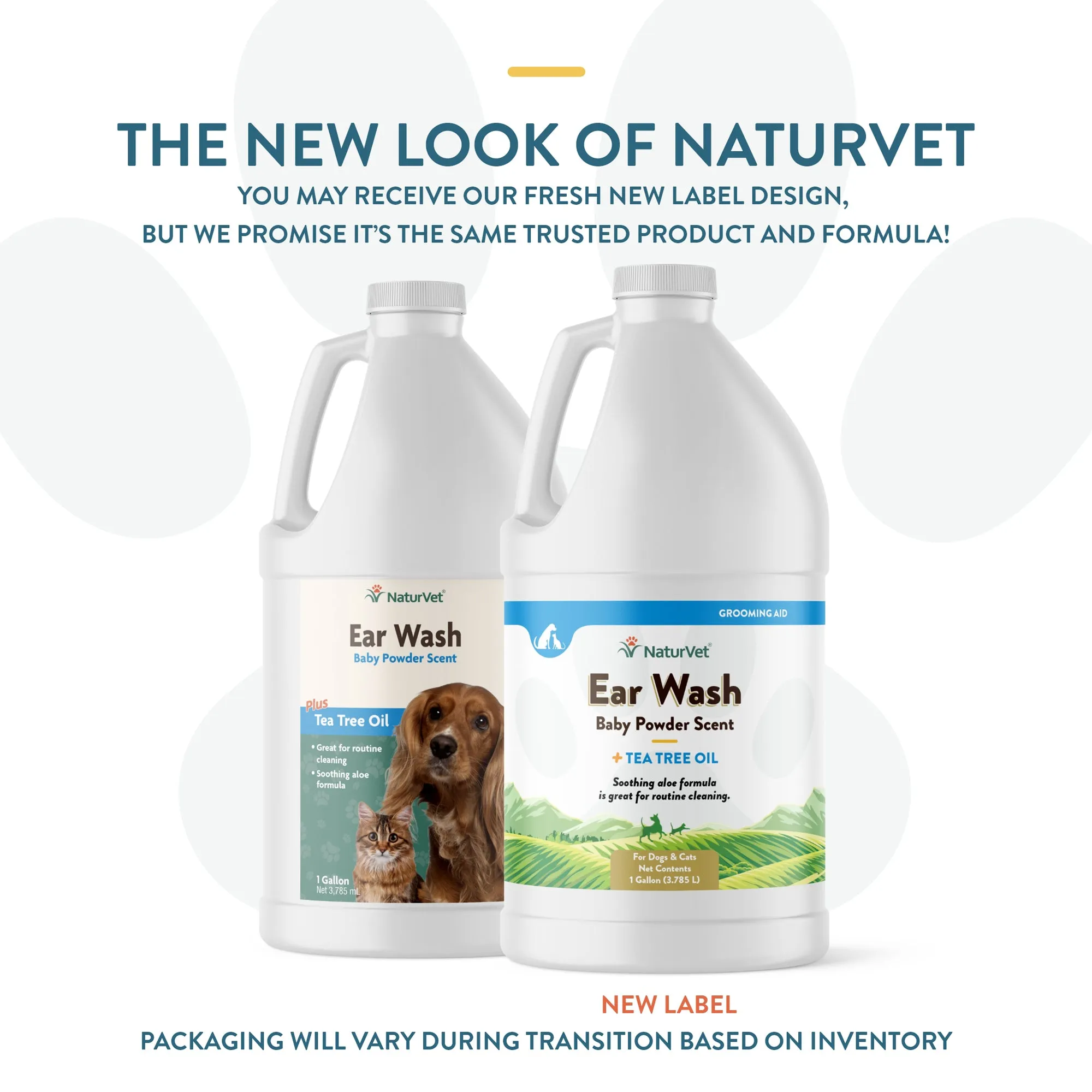 Ear Wash Liquid