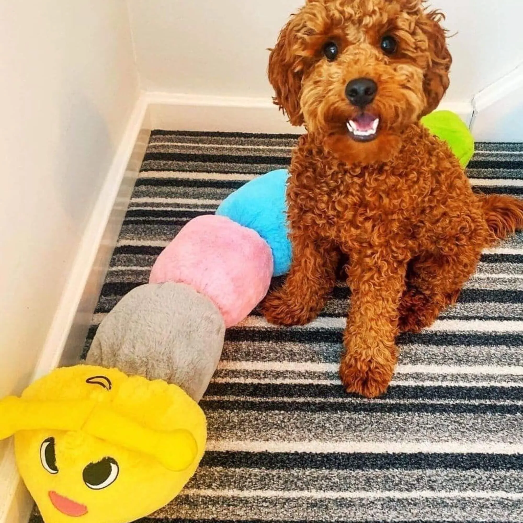 Gor Hugs Caterpillar Dog Toy with Squeaker