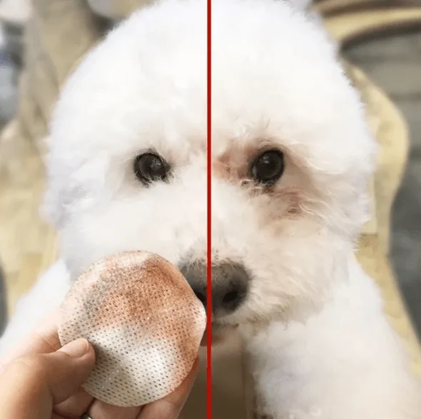 Happy Pawsome® Tear Stain Wipes (100 pcs set)