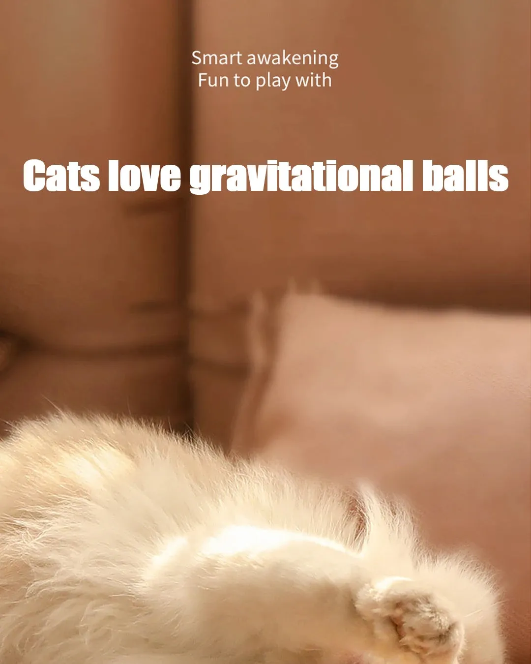 Interactive Cat Ball Toy Pet Silicone Premium Rechargeable with Light