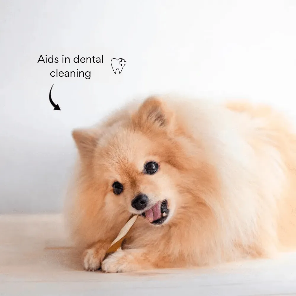 Kanu Pet Twist Sticks X 8 Units Dog Treat