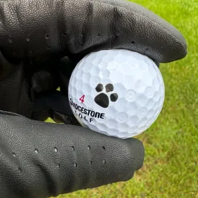 Paw Prints