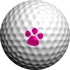 Paw Prints