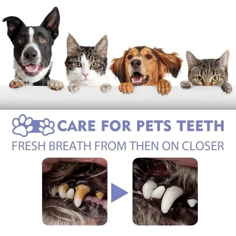 Pet Oral Spray Clean Teeth Fresh Breath