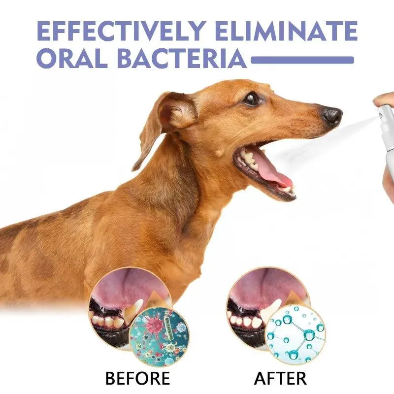 Pet Oral Spray Clean Teeth Fresh Breath