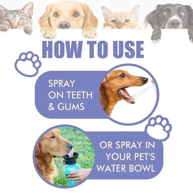 Pet Oral Spray Clean Teeth Fresh Breath