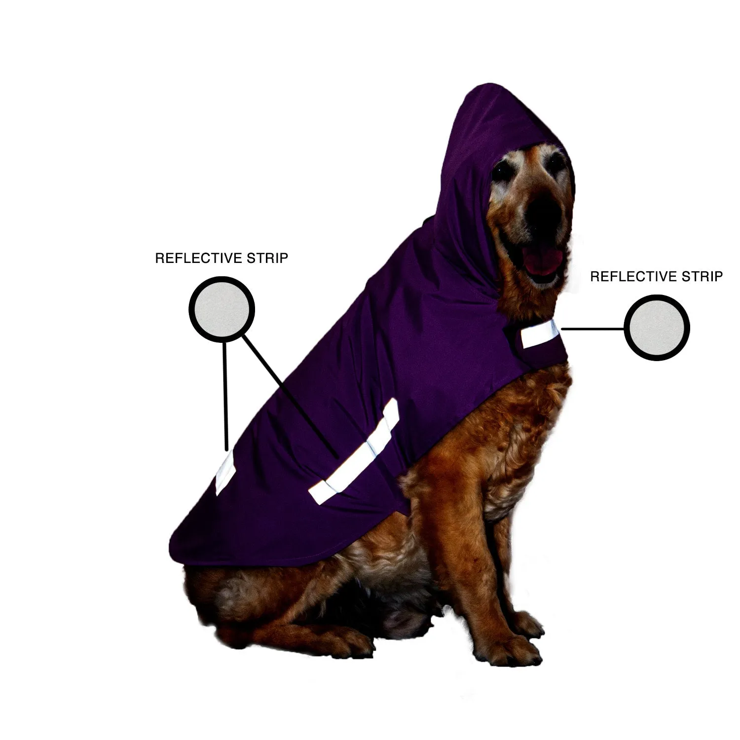 "Chasing Rainbows" Printed DryTech Dog Raincoat with Reflective Strips For Protection | Visibilitee Collection