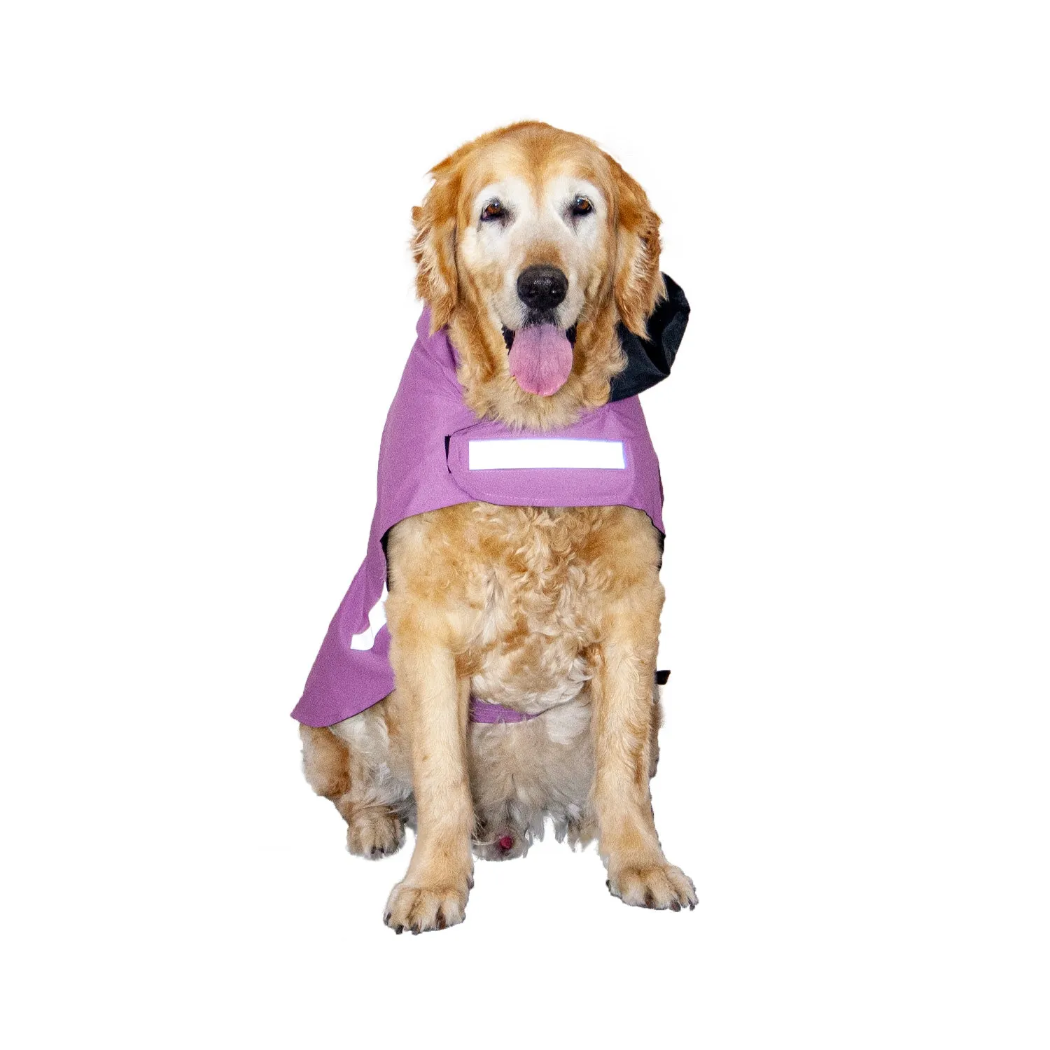 "Chasing Rainbows" Printed DryTech Dog Raincoat with Reflective Strips For Protection | Visibilitee Collection