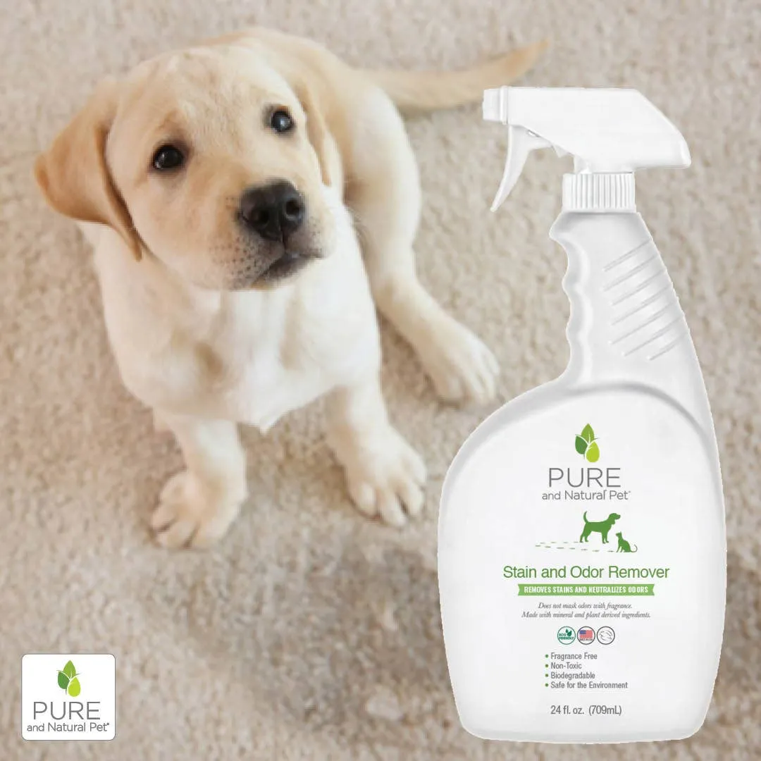 Stain and Odor Remover