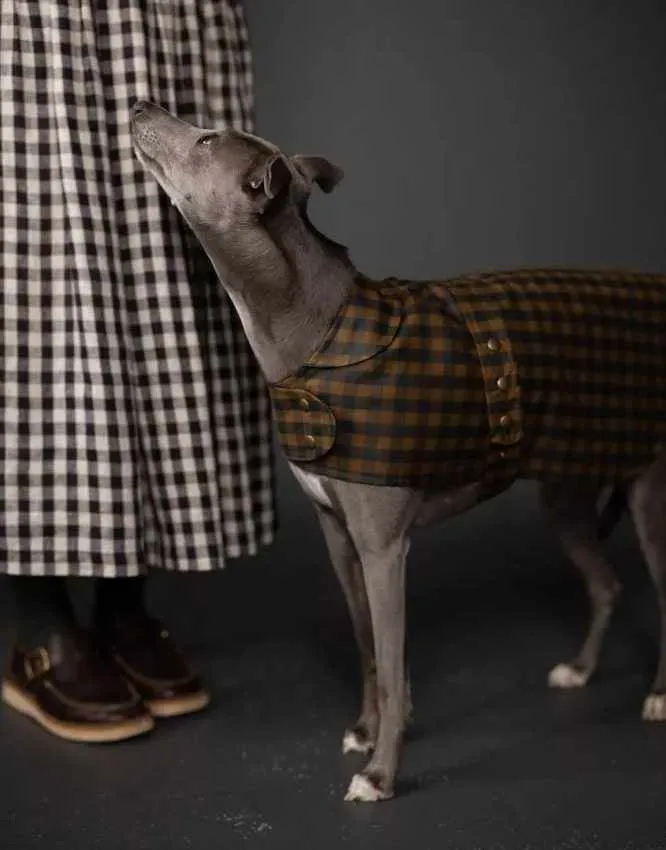 The Barka Dog Coat, Merchant & Mills Sewing Pattern