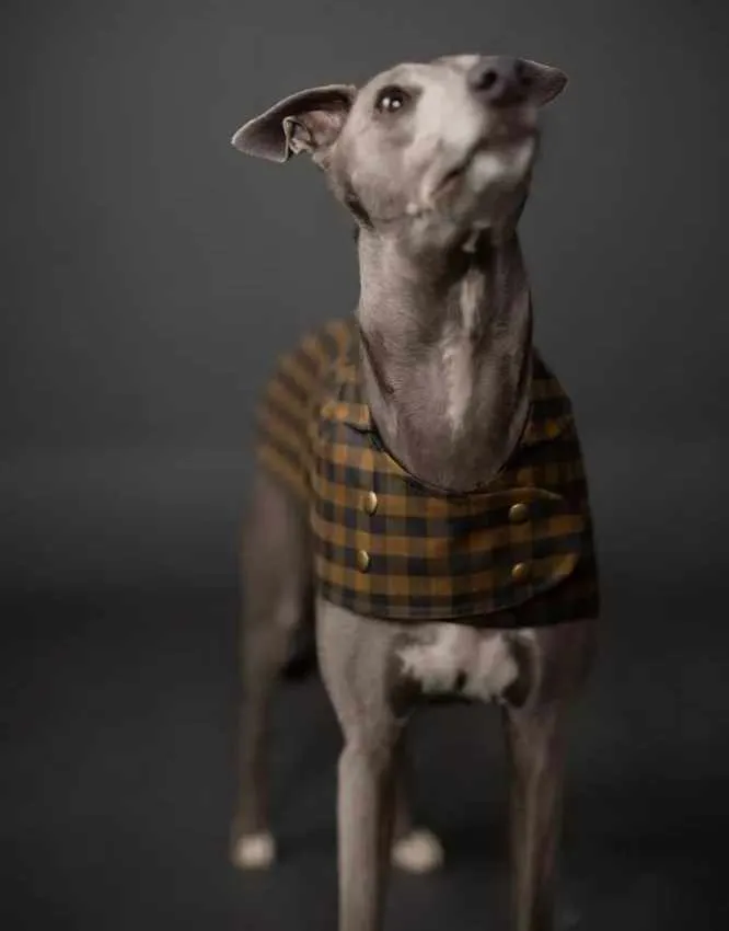 The Barka Dog Coat, Merchant & Mills Sewing Pattern