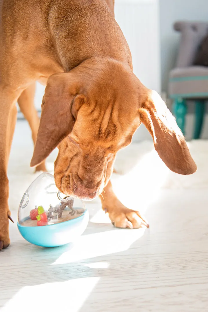 Wobble Ball Enrichment Toy